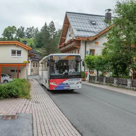 Emma Top 1 Apartment Dienten am Hochkoenig