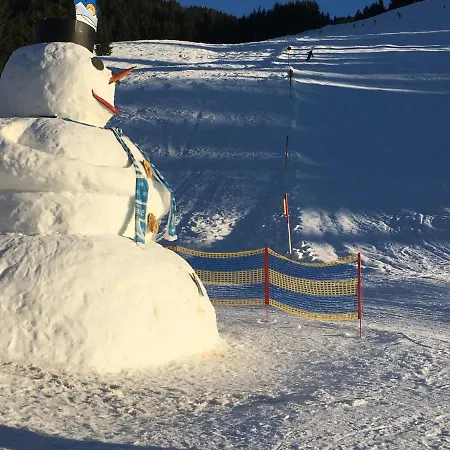 Apartmán Emma Top 1 Dienten am Hochkönig